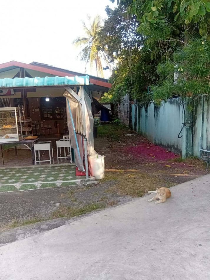 House and land for sale, 143.5 square wah (approximately 552 square meters). Prime location in the heart of Phuket town. - image 8