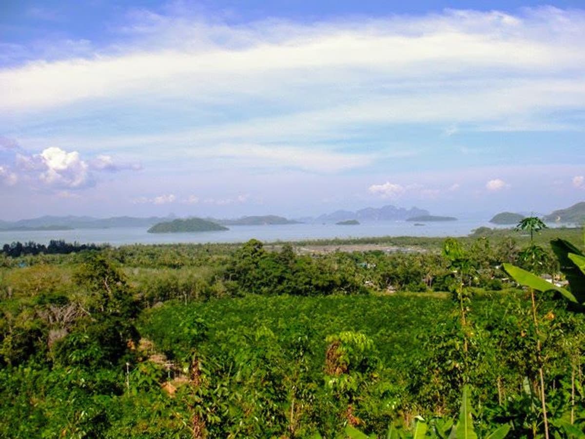 Luxury sea view land for sale – Baan Para Pa Khlok, Phuket | Size 14 rai for project development - image 6