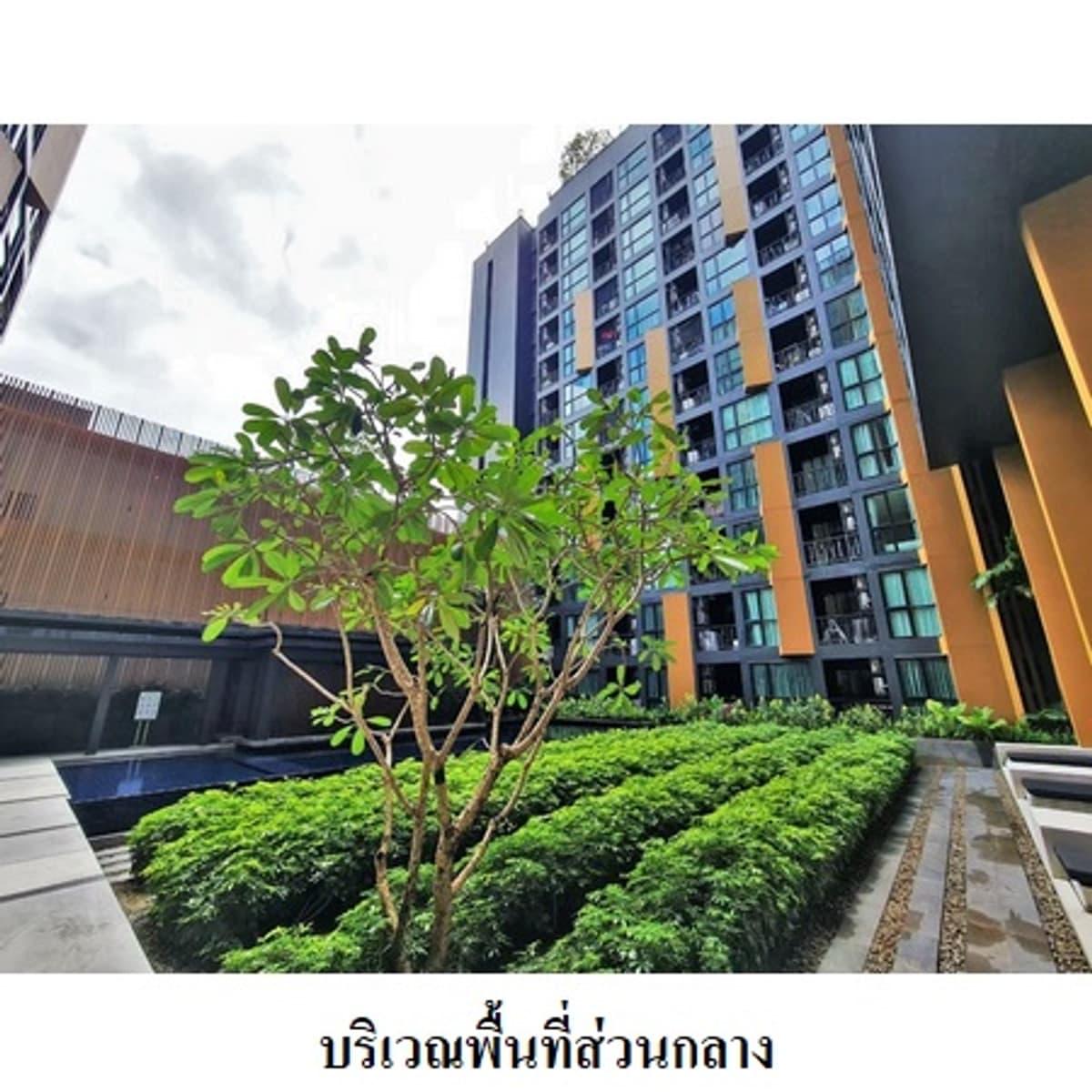 Condo for sale, The Base Height, Mueang District, Phuket. - image 4
