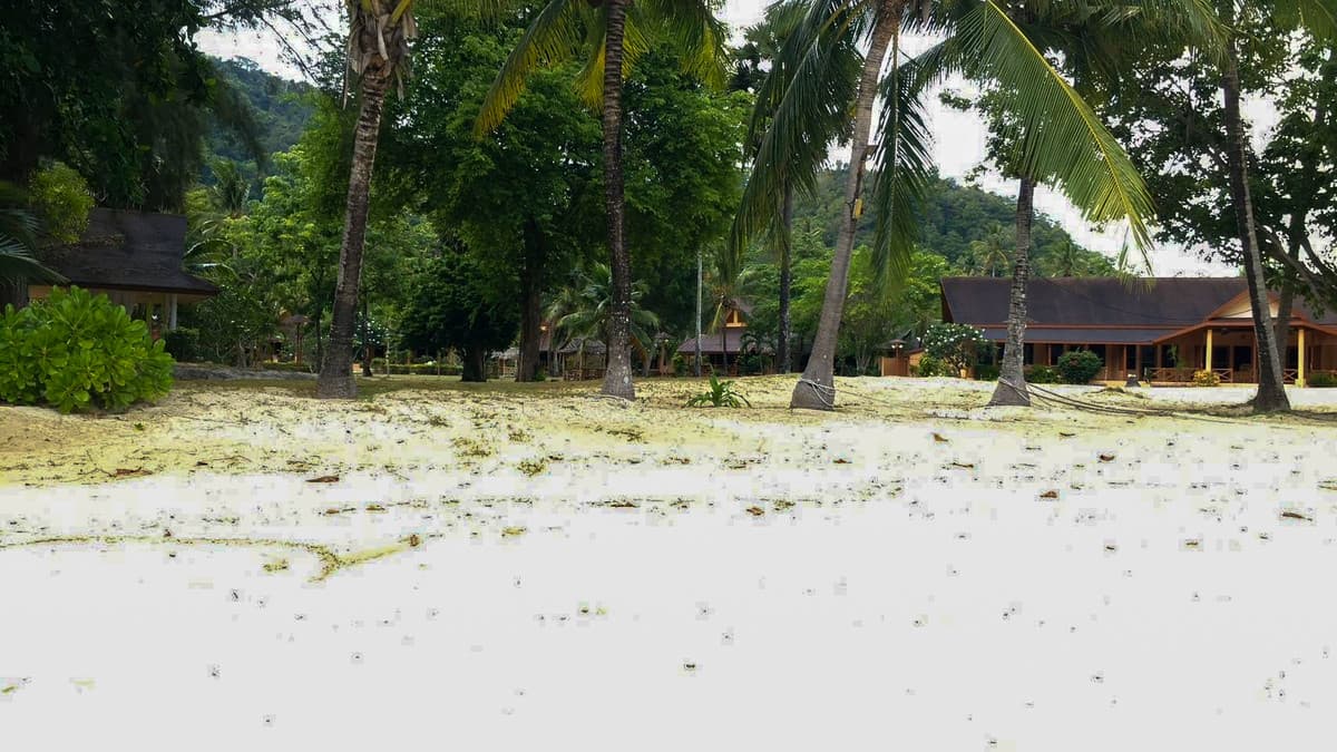Land for sale, Phuket, Koh Lon, 2 rai 73 square wah. - image 5