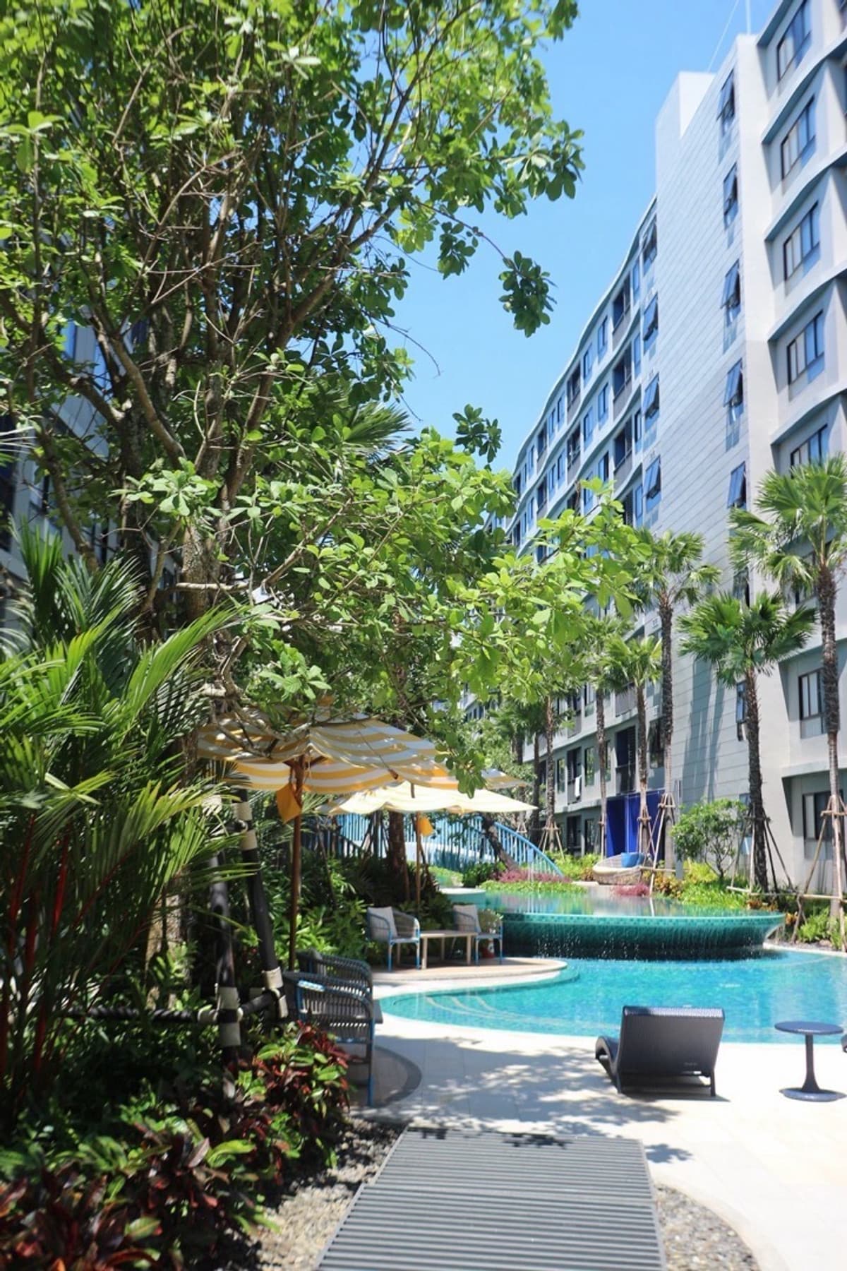 ✨ FOR RENT | HOT DEAL 🔥 Ready to Move In📍 D Condo Reef, Kathu – Phuket🌿 Beautiful pool-view unit, cozy and modern — perfect for comfortable living or expats
