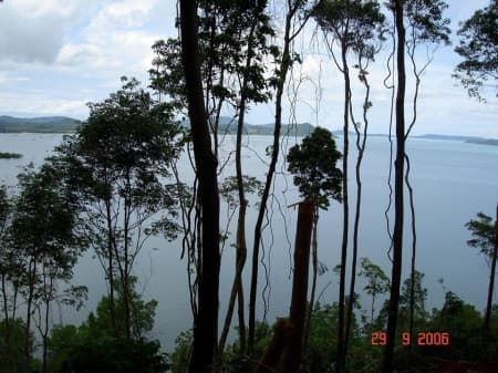 Land for sale on the beach, Phuket, Ao Kung, 56-1-3 rai, suitable for resorts, villas - image 2