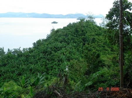 Land for sale on the beach, Phuket, Ao Kung, 56-1-3 rai, suitable for resorts, villas - image 3