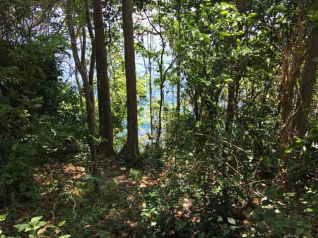 Land for sale on the beach, Phuket, Racha Island, Kon Khae Bay, 83-2-20 rai, suitable for resorts, villas - image 5