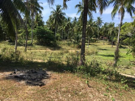 Land for sale on the beach, Phuket, Racha Island, Kon Khae Bay, 83-2-20 rai, suitable for resorts, villas - image 6