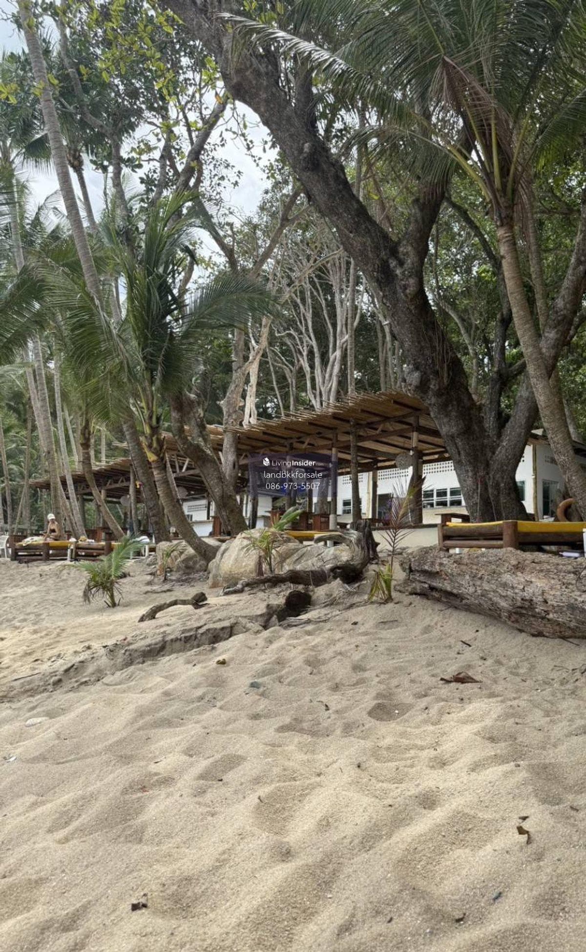 Beachfront land for sale, Phuket, Banana Beach - image 6