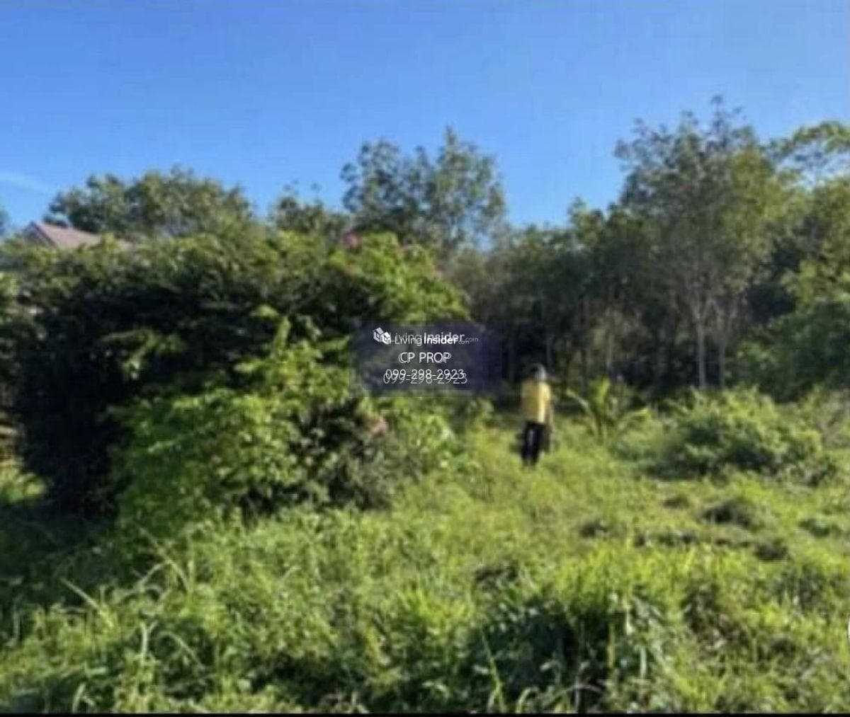 Welcome to Co Agent📍 Land for sale. Beside Ban Laem Sai School Phuket The page is about 85 meters wide, 185 meters deep, almost 10 rai. Interested please contact Aunt Mam Tel/Line: 0992982923.