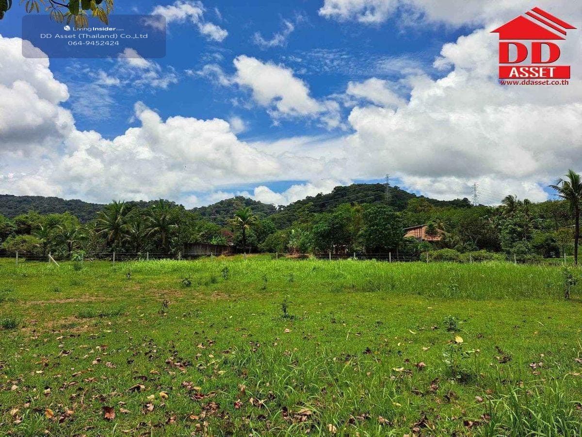 Land for sale in Phuket, Thalang District, Ban Khuan, near Thalang District Office, code: L8048 - image 4