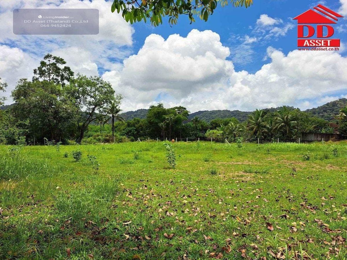 Land for sale in Phuket, Thalang District, Ban Khuan, near Thalang District Office, code: L8048 - image 10