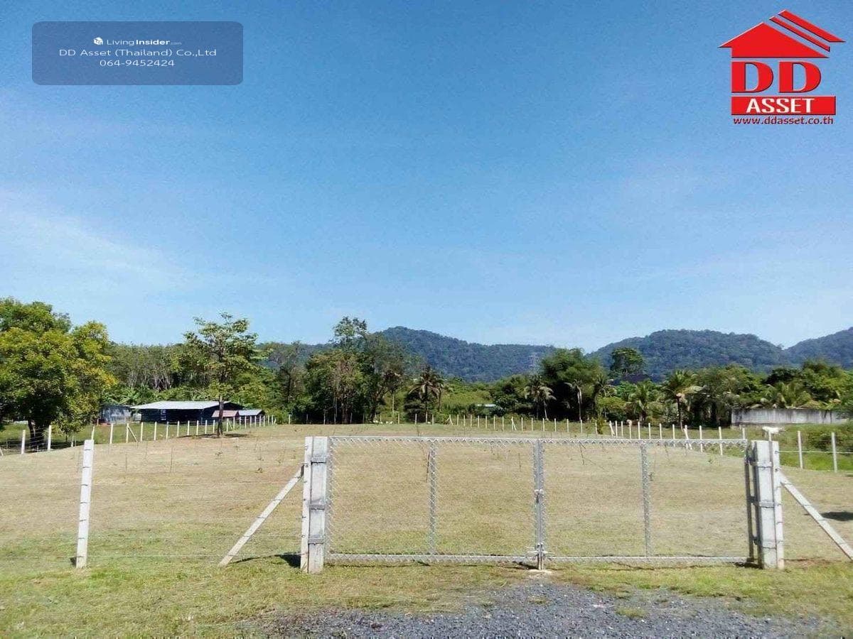 Land for sale in Phuket, Thalang District, Ban Khuan, near Thalang District Office, code: L8048 - image 2