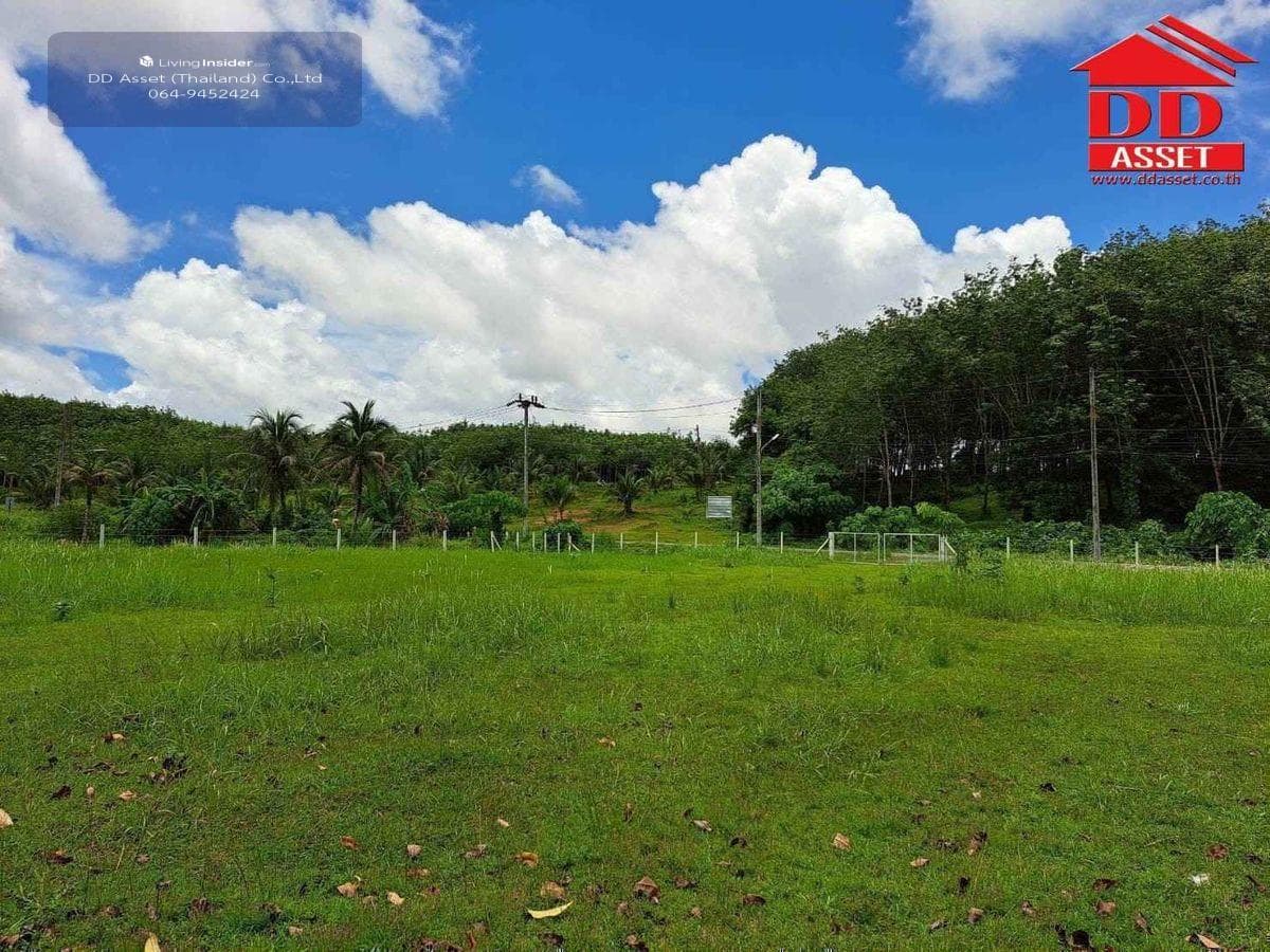 Land for sale in Phuket, Thalang District, Ban Khuan, near Thalang District Office, code: L8048 - image 9