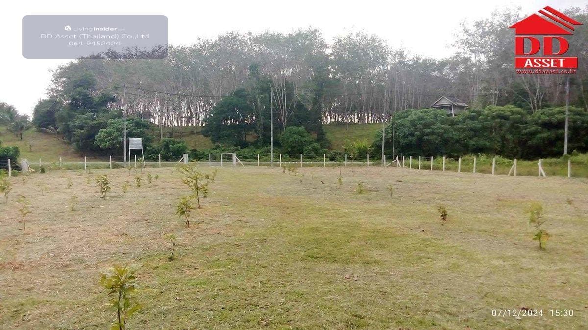 Land for sale in Phuket, Thalang District, Ban Khuan, near Thalang District Office, code: L8048 - image 6