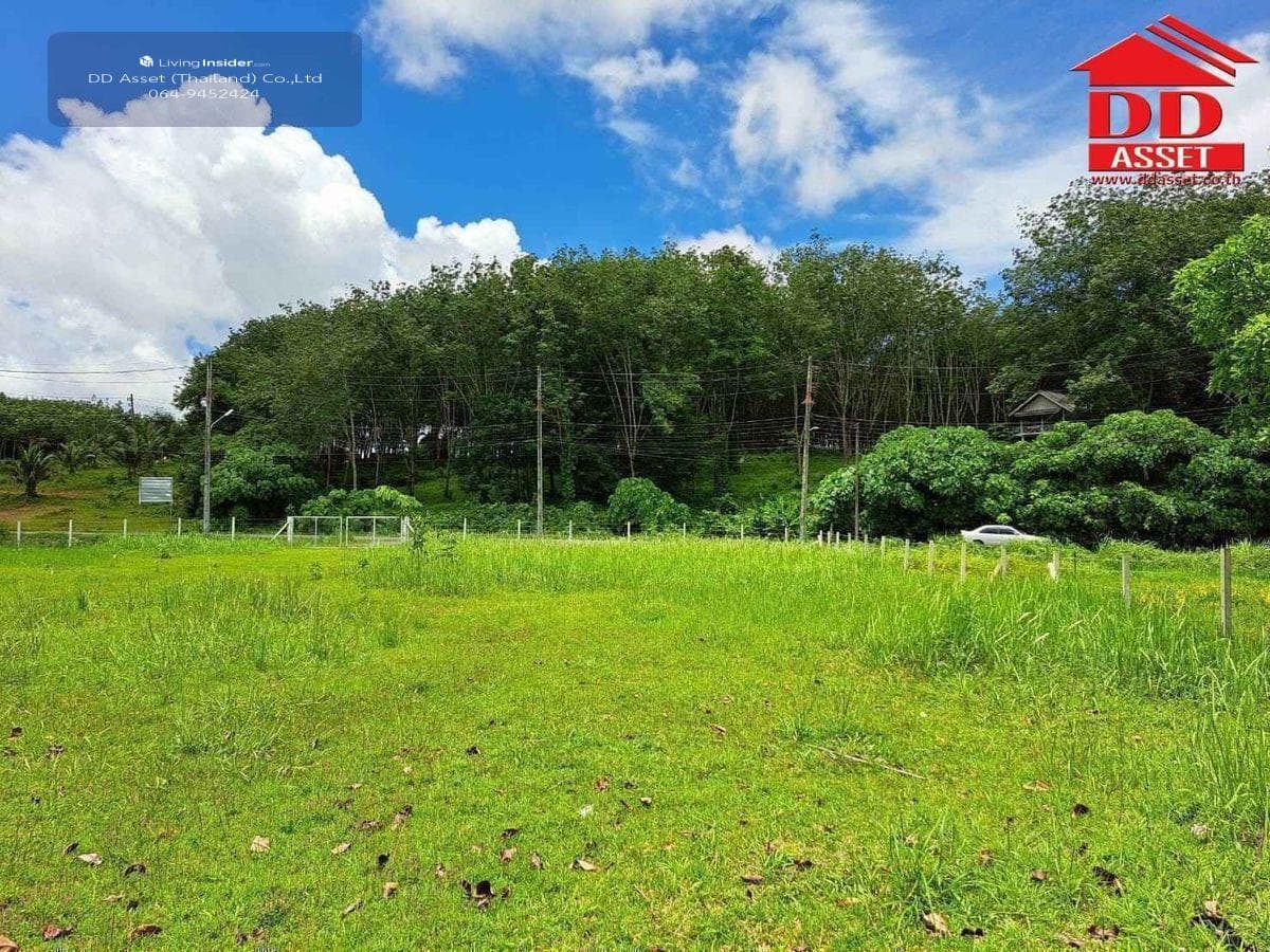 Land for sale in Phuket, Thalang District, Ban Khuan, near Thalang District Office, code: L8048 - image 7