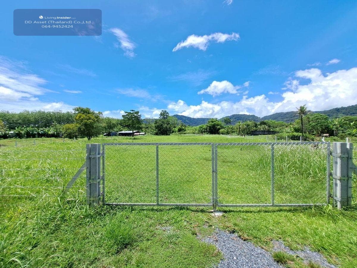 Land for sale in Phuket, Thalang District, Ban Khuan, near Thalang District Office, code: L8048 - image 15