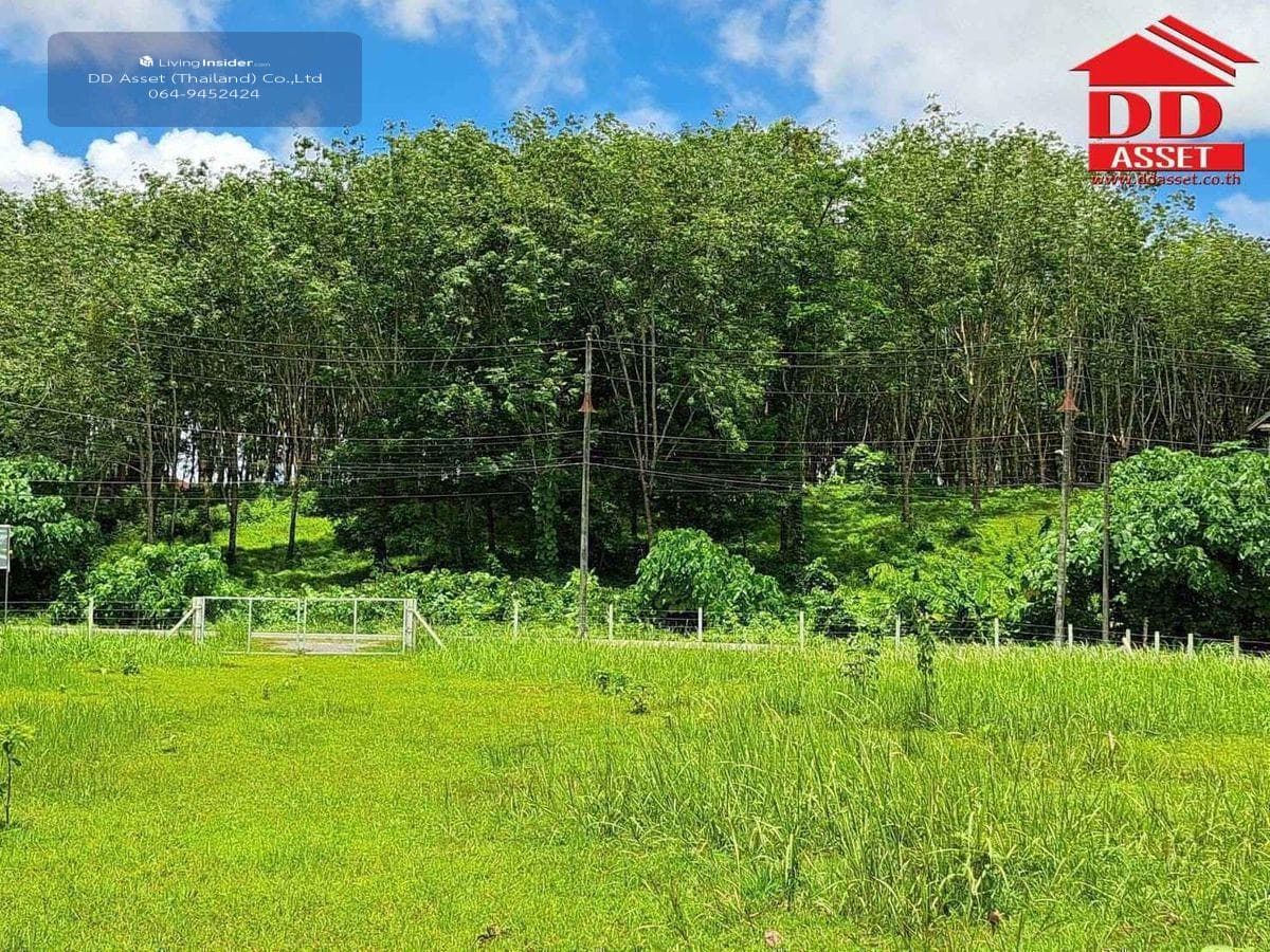 Land for sale in Phuket, Thalang District, Ban Khuan, near Thalang District Office, code: L8048 - image 5