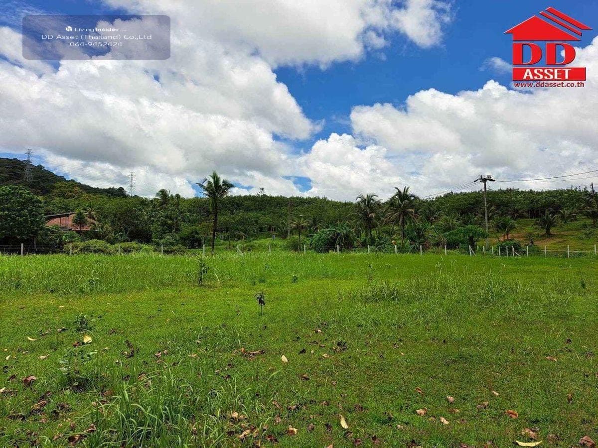 Land for sale in Phuket, Thalang District, Ban Khuan, near Thalang District Office, code: L8048 - image 12