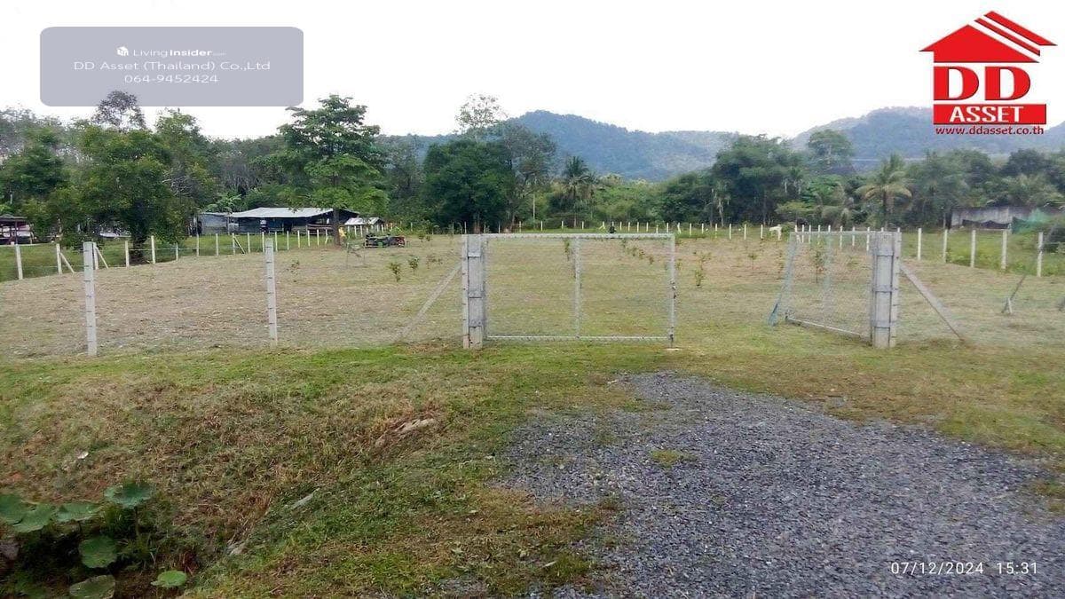 Land for sale in Phuket, Thalang District, Ban Khuan, near Thalang District Office, code: L8048 - image 8