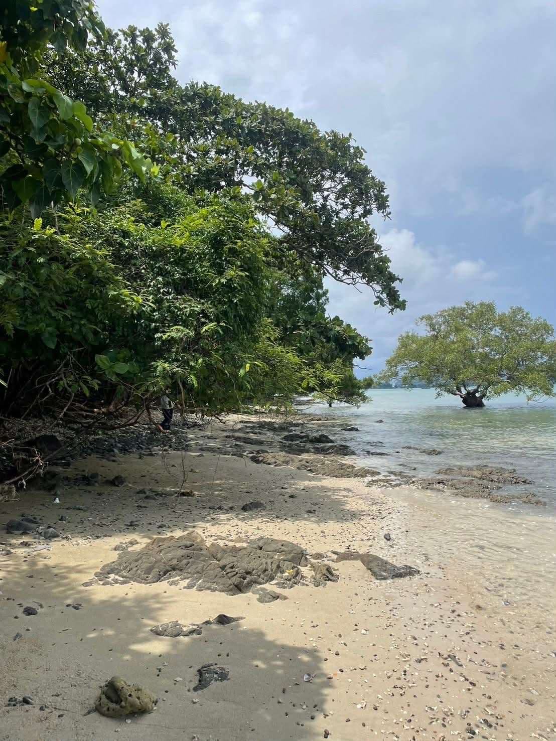 🔹 LAND FOR SALE – BEACHFRONT, KOH LONE, PHUKET 🔹