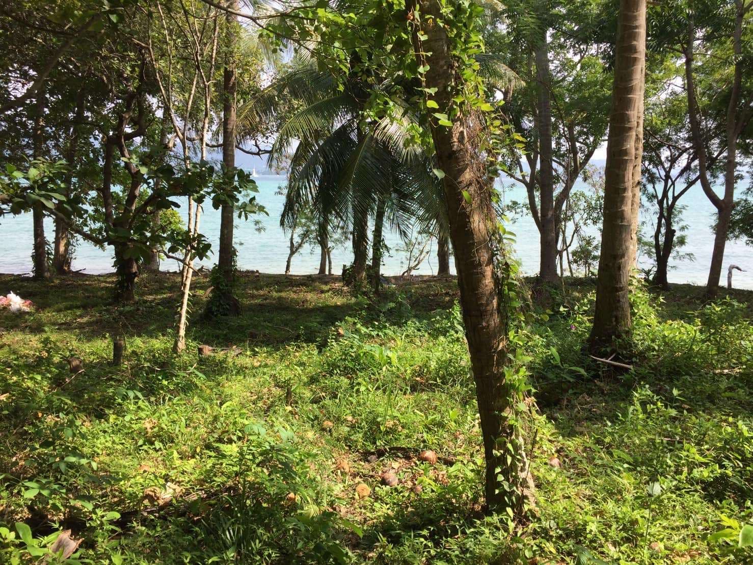 🔹 LAND FOR SALE – BEACHFRONT, KOH LONE, PHUKET 🔹 - image 3