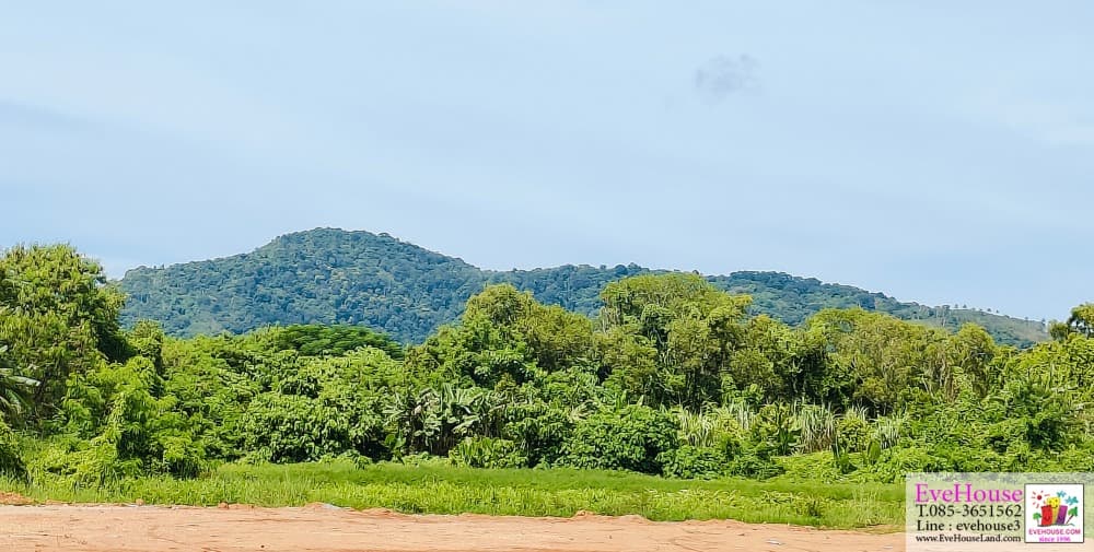 Land for sale on Wiset Road Rawai, Mueang District, Phuket. Land size 15 Rai Very wide front. Suitable for large projects - image 2