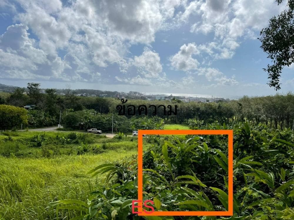 Land for sale in Phuket, Thalang District, beautiful sea view, area 2 rai 93 sq m., near Phuket Airport. - image 4