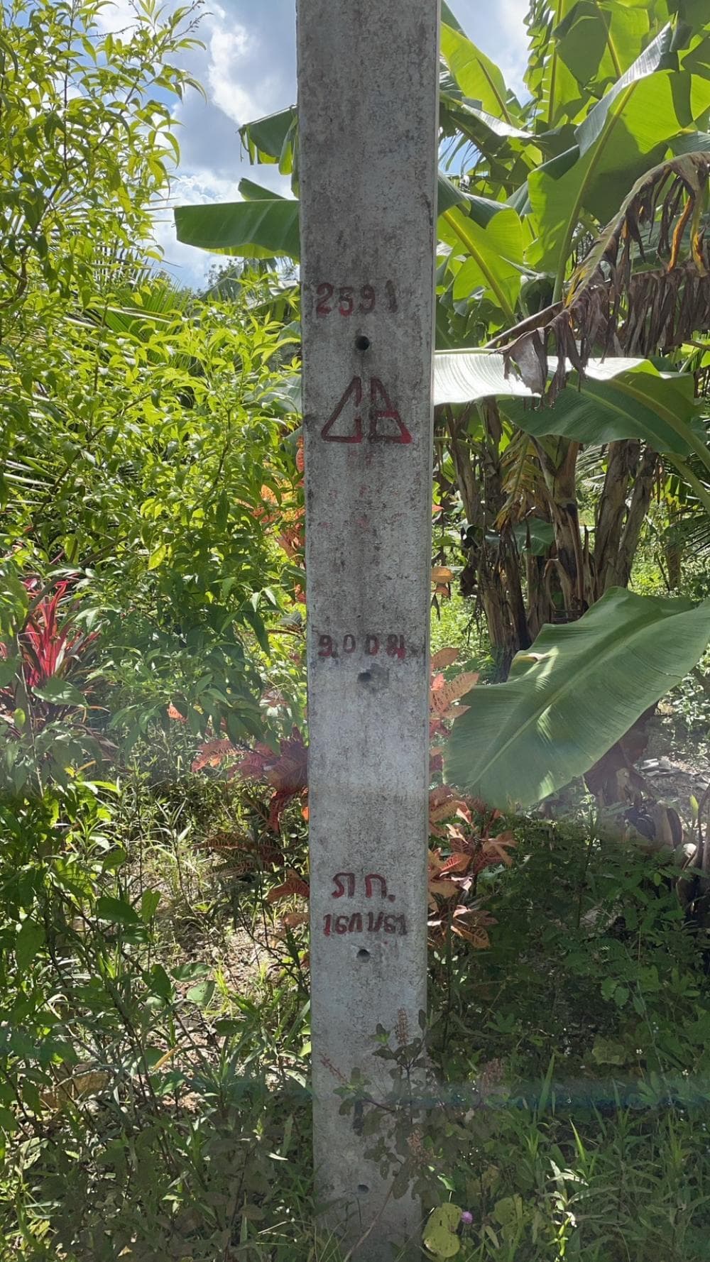 Land for sale in Phuket, Thalang District, beautiful sea view, area 2 rai 93 sq m., near Phuket Airport. - image 8