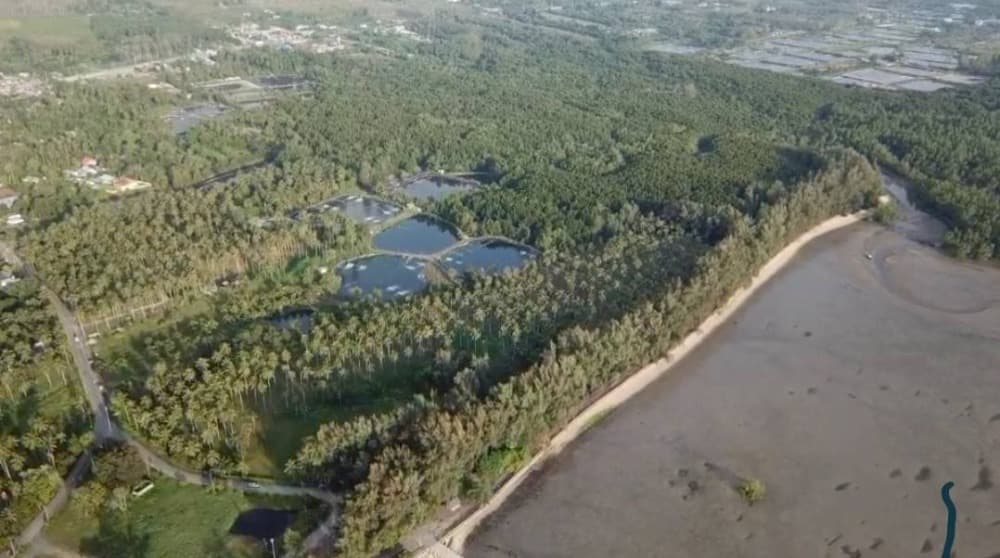 Land for sale next to the sea, Tha La Beach, Pa Khlok, Phuket, 33 rai, land title deed.