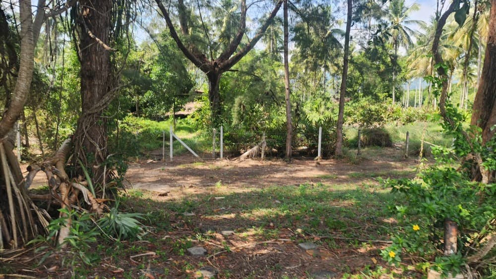 Land for sale next to the sea, Tha La Beach, Pa Khlok, Phuket, 33 rai, land title deed. - image 5