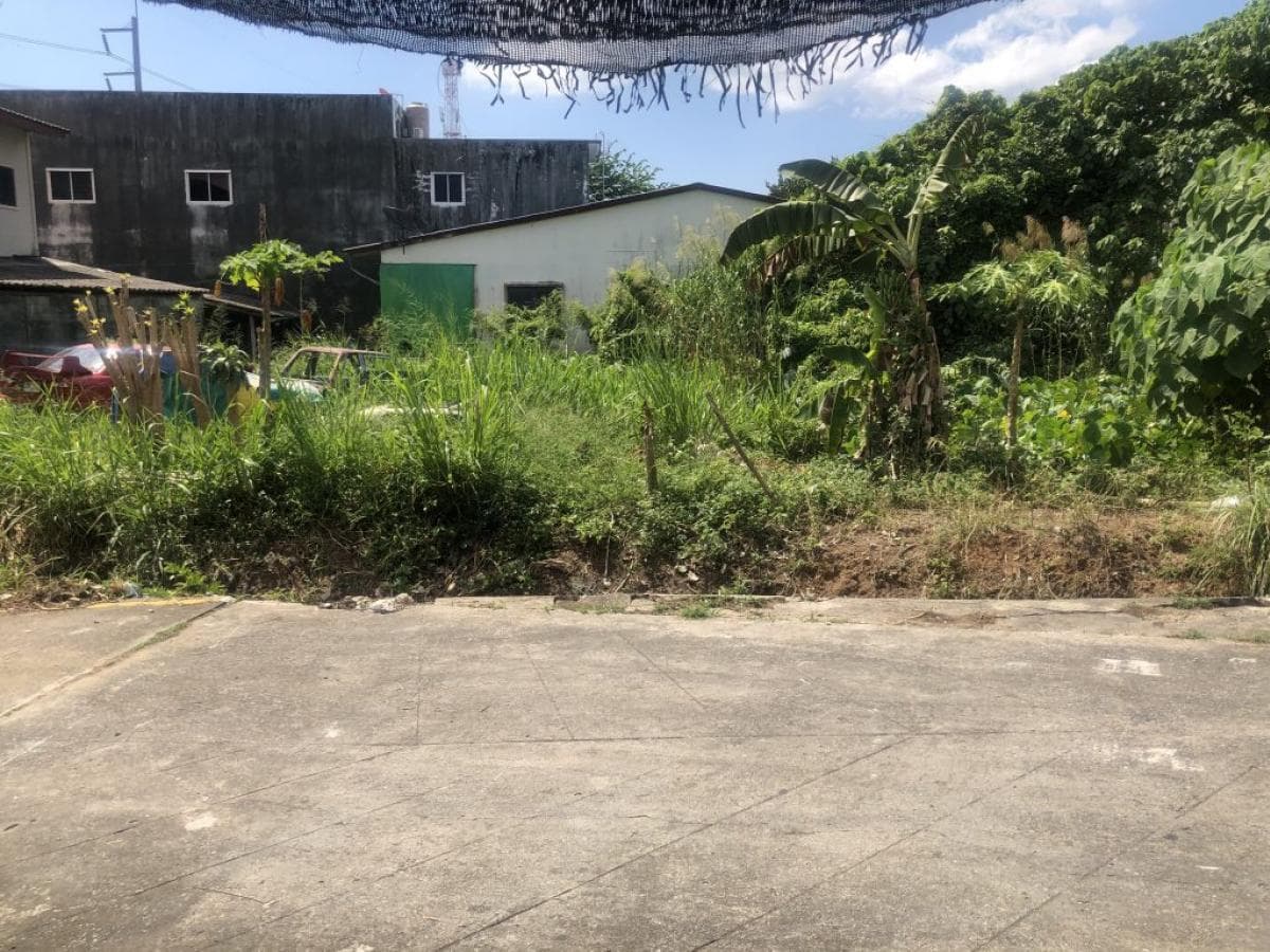 Land for sale in Phuket, 60 sq m., near Chalong Temple, Chalong Subdistrict, Mueang District, Phuket Province. - image 3