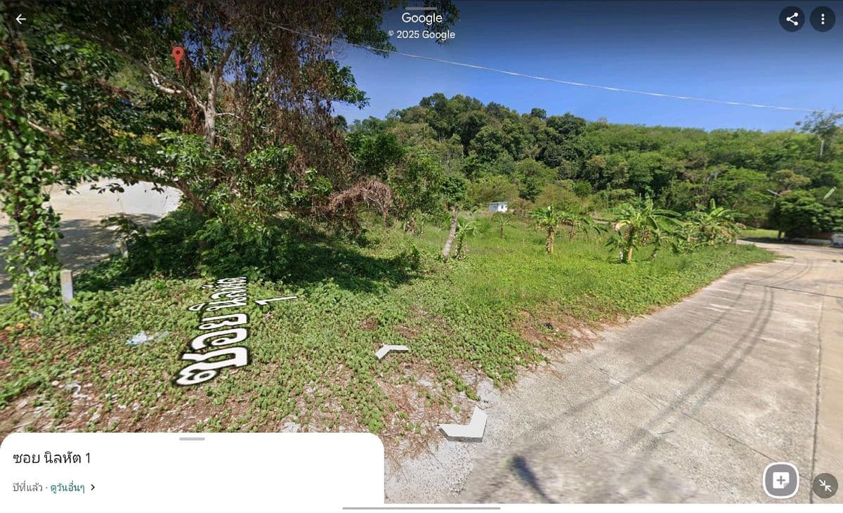 sell !!! Island land near the pier 1.3 km. - image 3