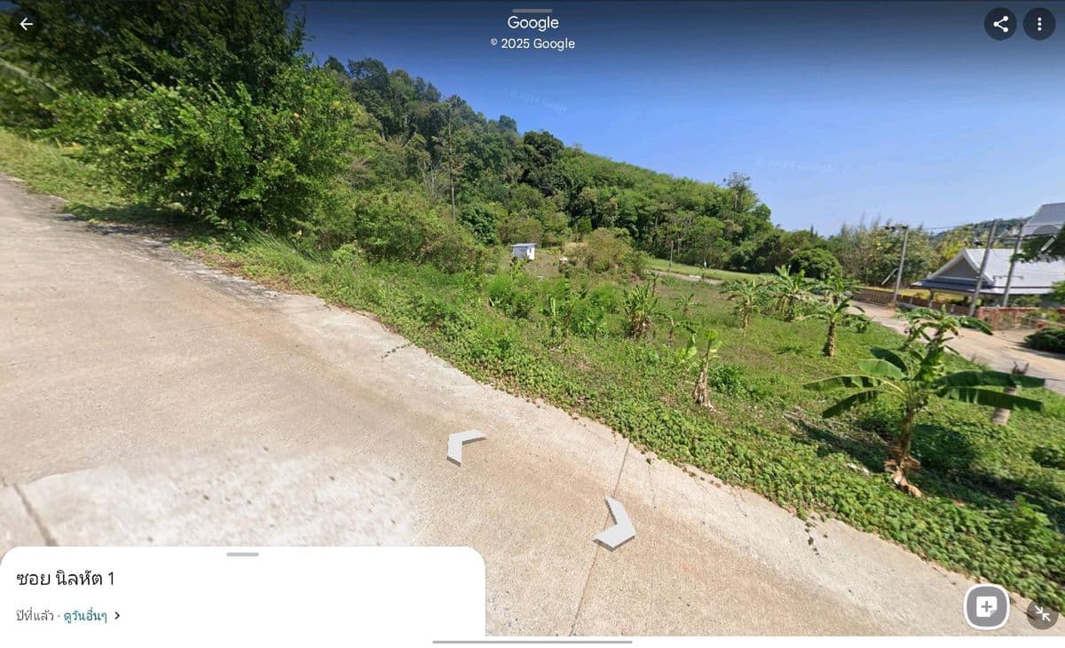 sell !!! Island land near the pier 1.3 km. - image 5