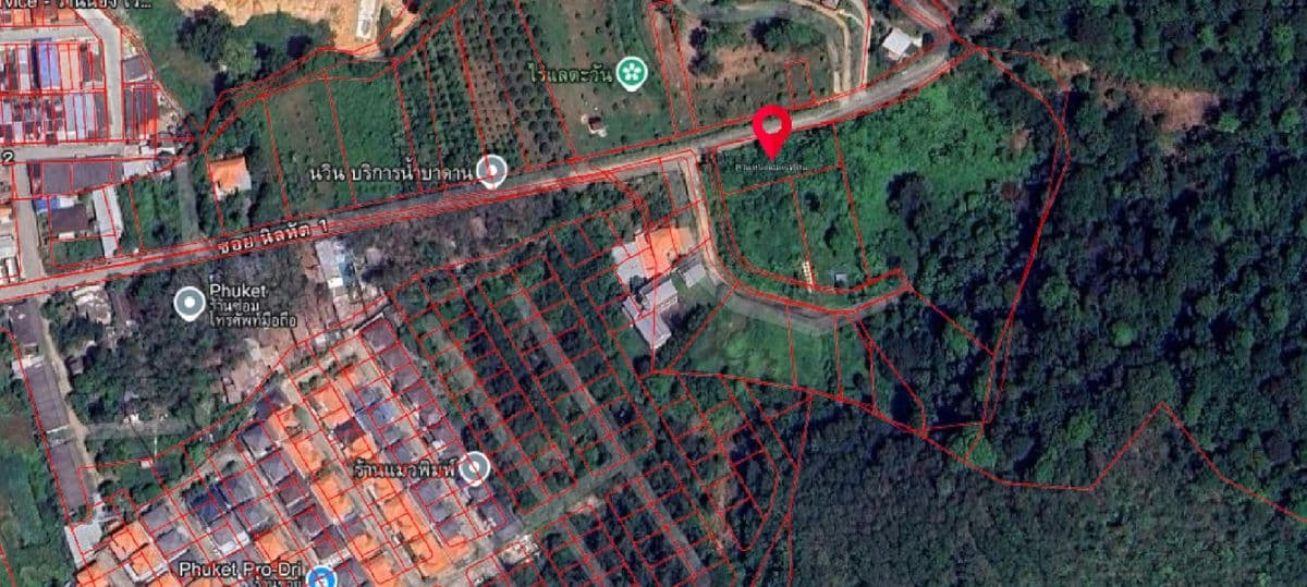 sell !!! Island land near the pier 1.3 km. - image 8