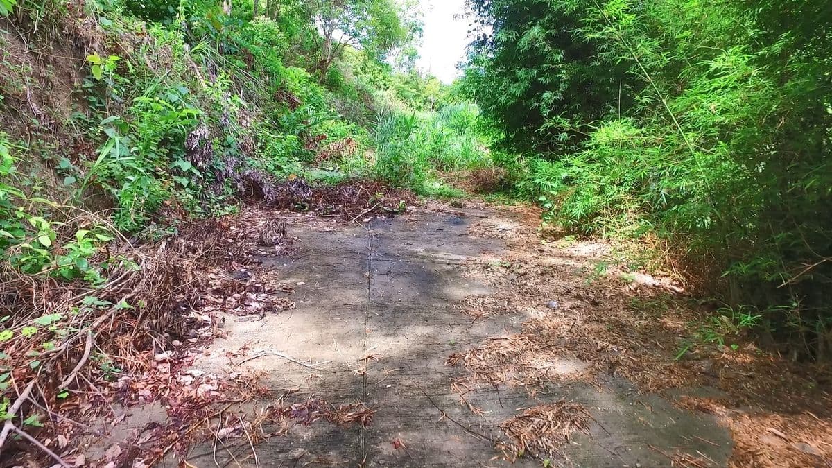 Patong Phuket Seaview Land Sale - image 4