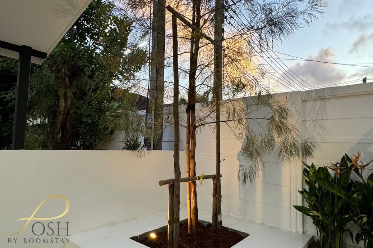 Posh Corner Renovation | Fully Extended | Garden Space | Near Phuket City - Reserved - image 3