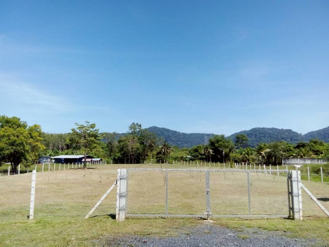 Land for sale in Phuket, 1-3-63.2 rai, located on Road No. 6014, near Ban Khuan School and Lotus Thalang.