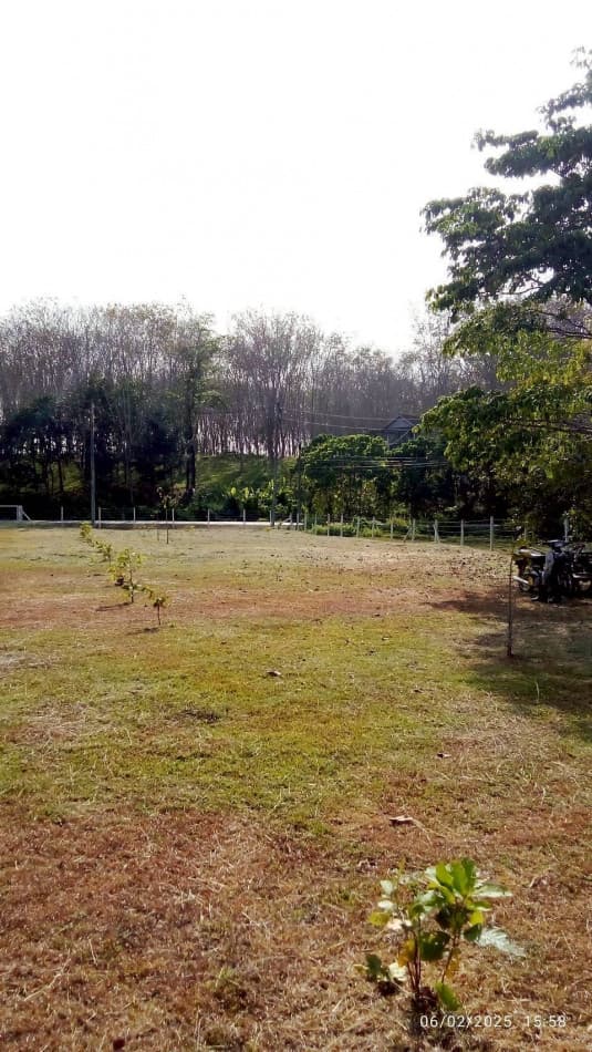 Land for sale in Phuket, 1-3-63.2 rai, located on Road No. 6014, near Ban Khuan School and Lotus Thalang. - image 2