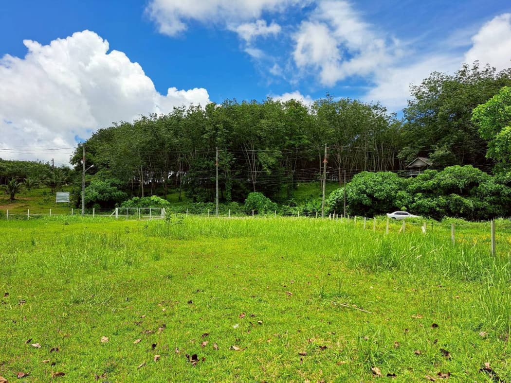 Land for sale in Phuket, 1-3-63.2 rai, located on Road No. 6014, near Ban Khuan School and Lotus Thalang. - image 3