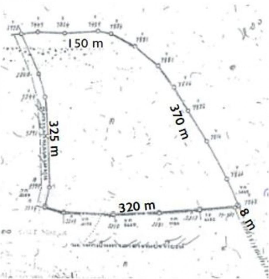 Land for sale in Phuket, Thalang, size 49 rai 1 ngan 60.2 sq wa, already filled - image 4