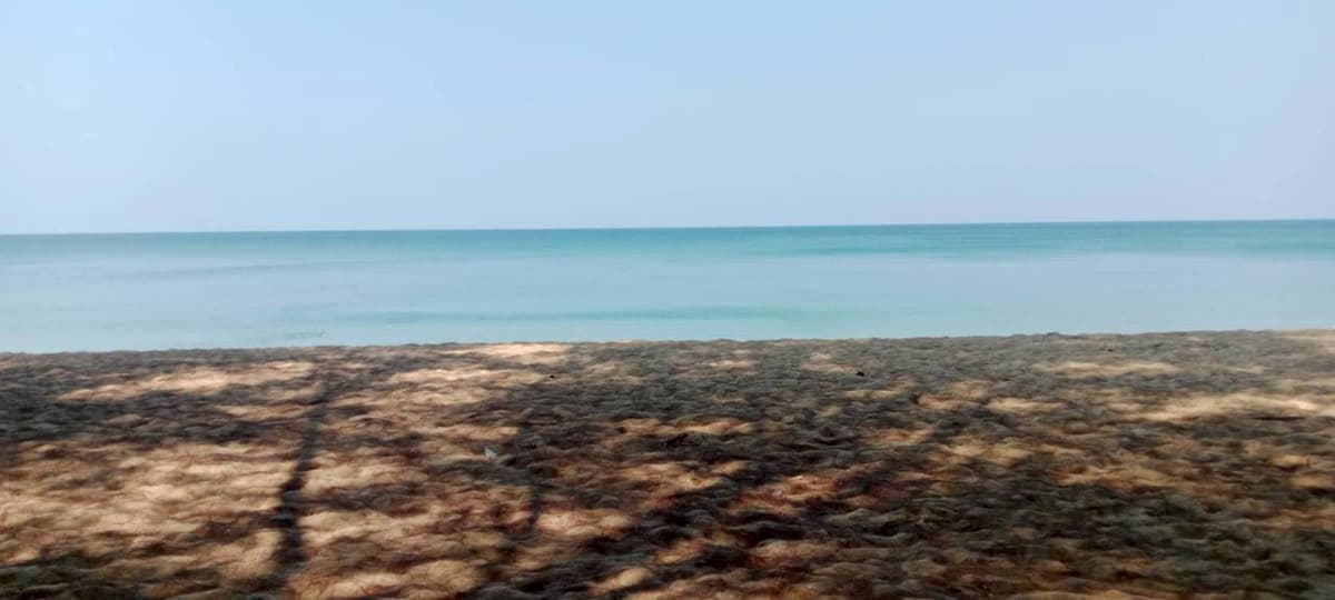 Land for sale, beautiful plot, next to the sea – Mai Khao Beach, Phuket - image 5