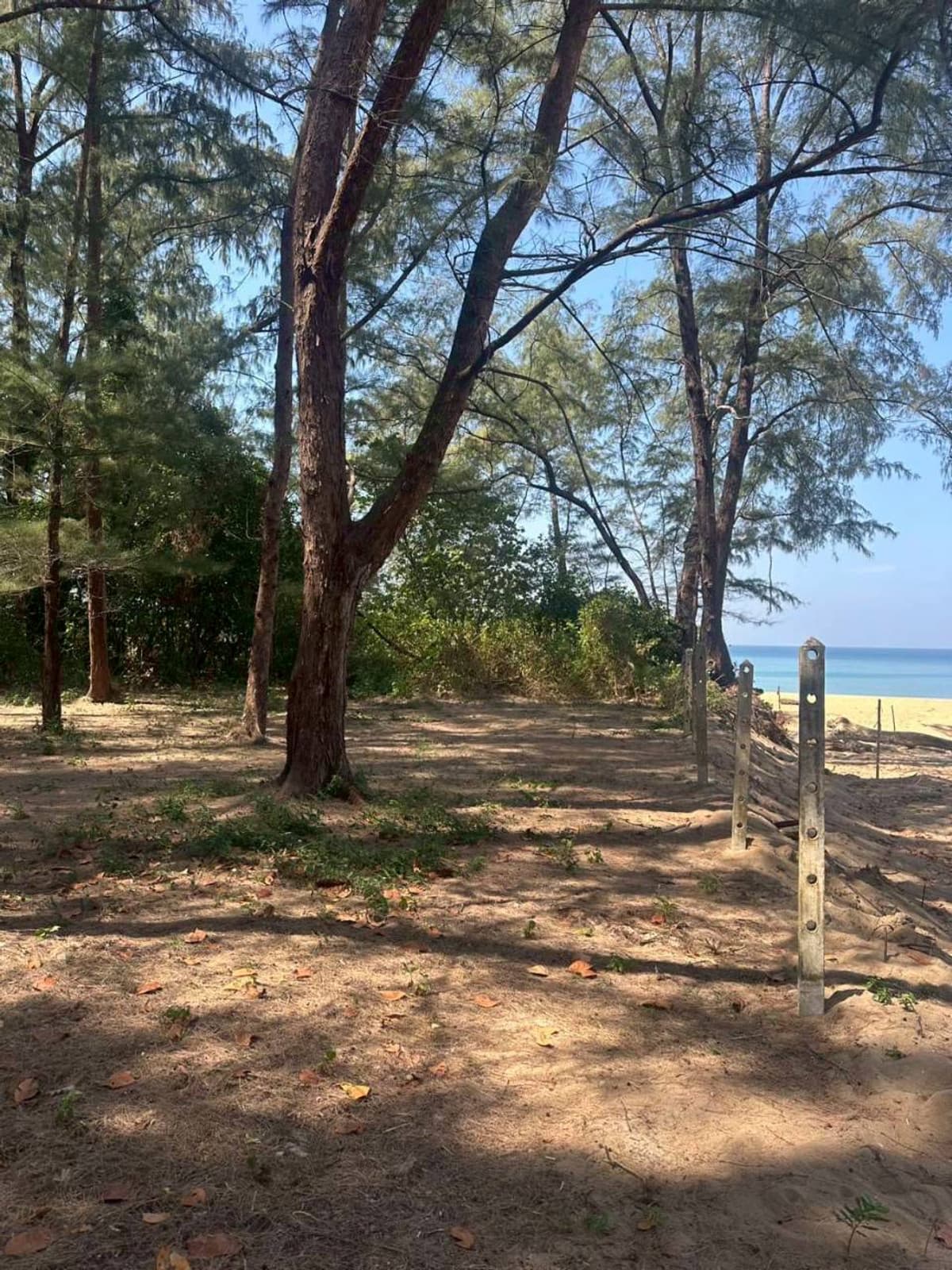 Land for sale, beautiful plot, next to the sea – Mai Khao Beach, Phuket - image 3