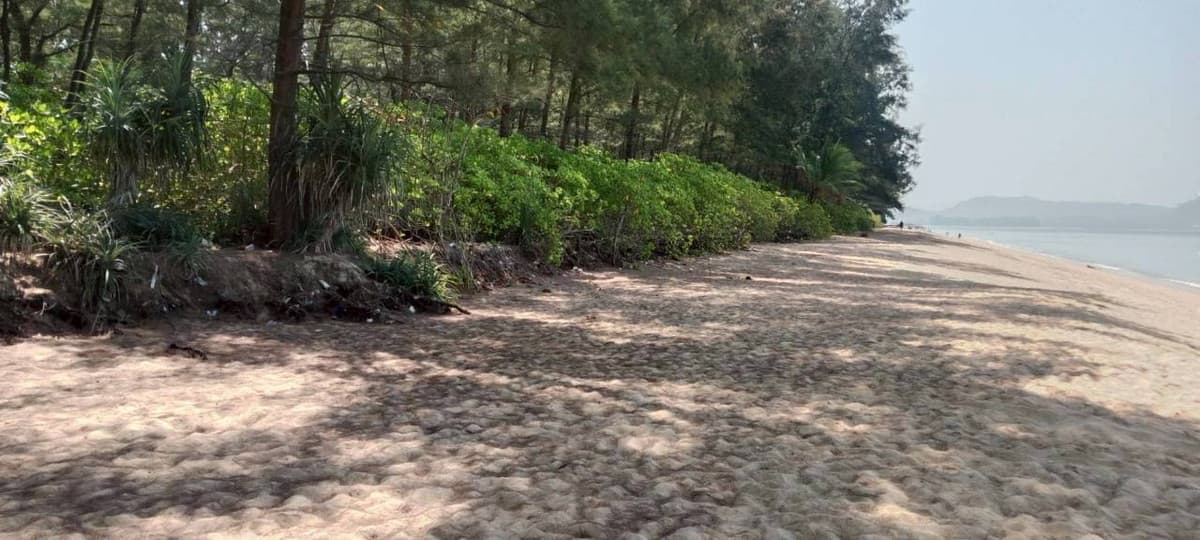 Land for sale, beautiful plot, next to the sea – Mai Khao Beach, Phuket - image 8