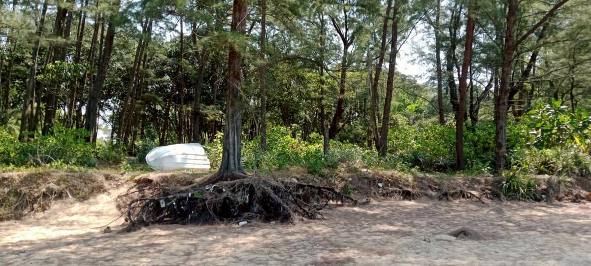 Land for sale, beautiful plot, next to the sea – Mai Khao Beach, Phuket - image 4