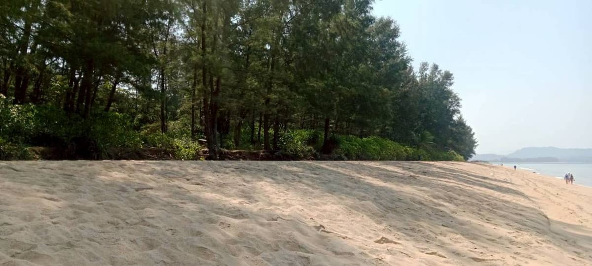 Land for sale, beautiful plot, next to the sea – Mai Khao Beach, Phuket - image 7