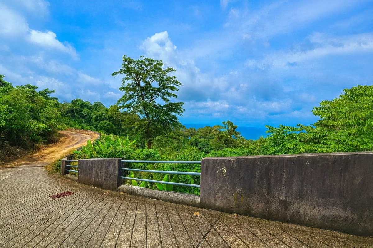 Prime 2 Rai Sea-View Land in Kamala – High Potential for Villa or Boutique Project - U5864469 - image 4