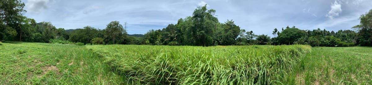 Empty land for sale, good location, Thalang District, Phuket Province. - image 6