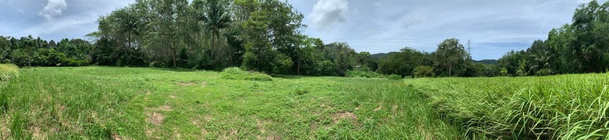 Empty land for sale, good location, Thalang District, Phuket Province. - image 8