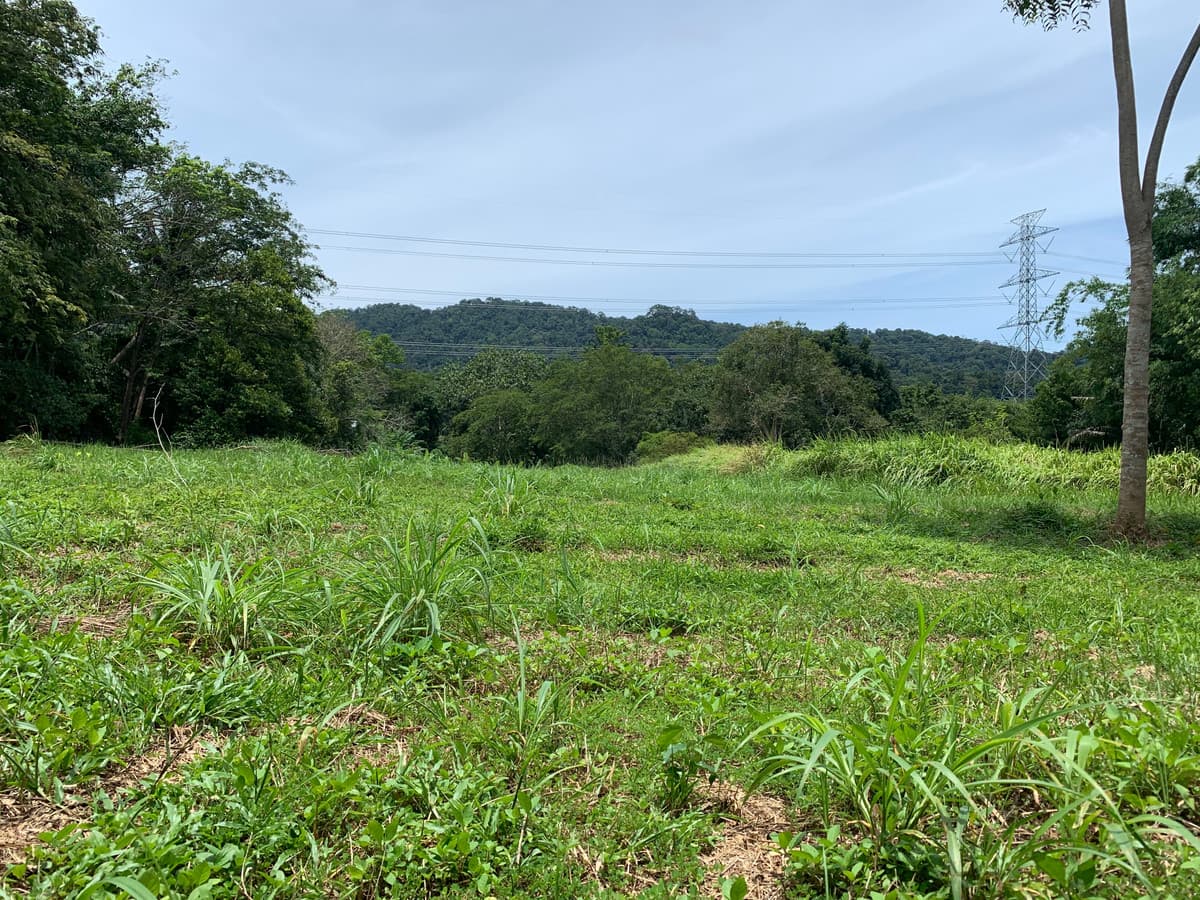 Empty land for sale, good location, Thalang District, Phuket Province.