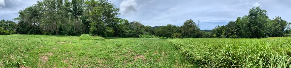 Empty land for sale, good location, Thalang District, Phuket Province. - image 7