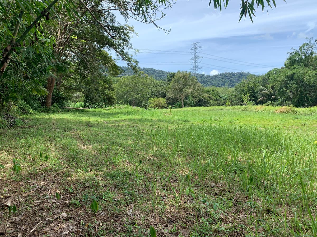 Empty land for sale, good location, Thalang District, Phuket Province. - image 3