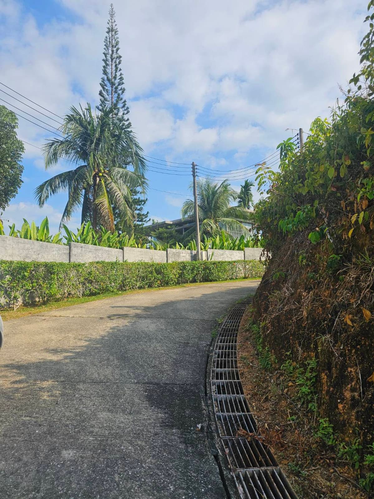 Available Land For Sale in Phuket, Pah-Klog, Mueng PHUKET PROVINCE., THAILAND.